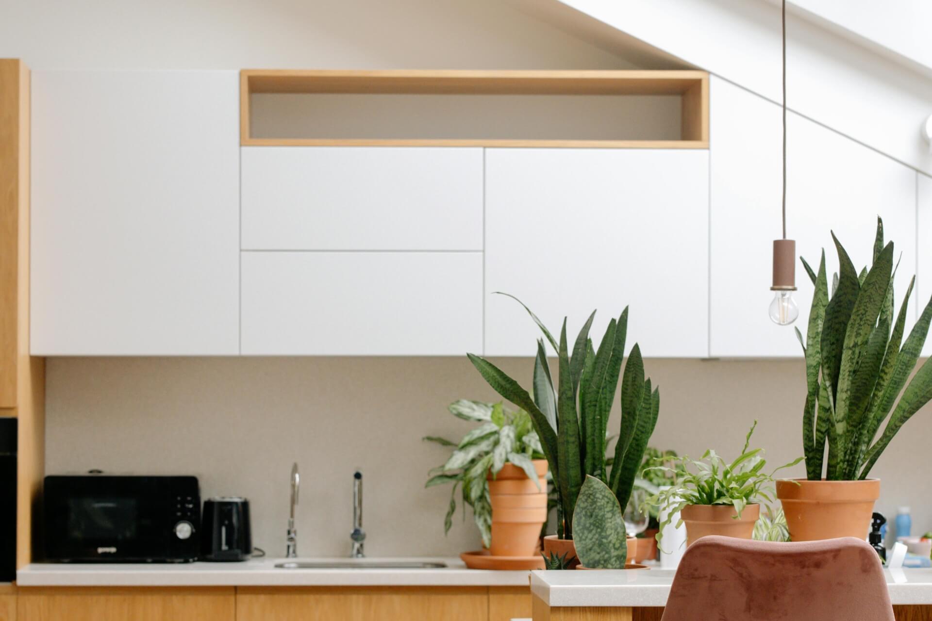 modern kitchen design